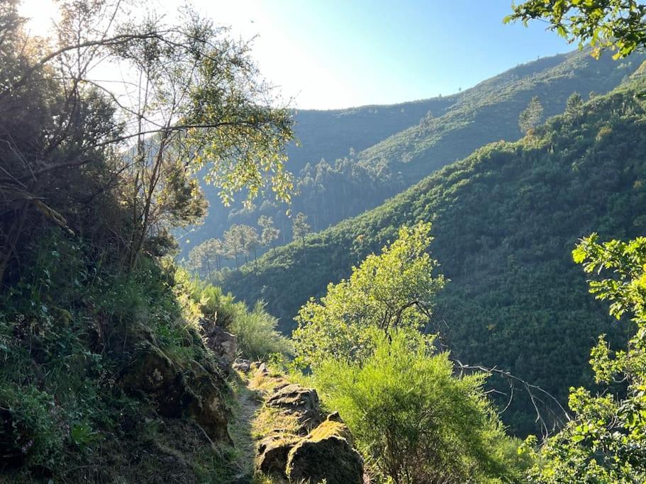 Casa Do Sol - Natureza & Lazer - Serra Da Freita 阿鲁卡 外观 照片