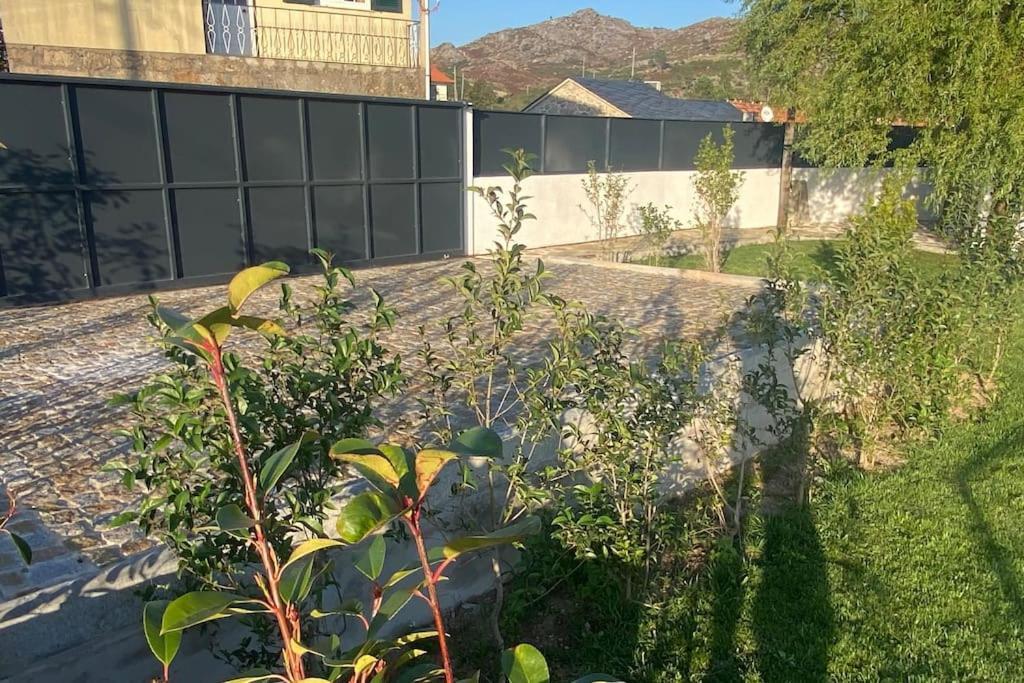 Casa Do Sol - Natureza & Lazer - Serra Da Freita 阿鲁卡 外观 照片