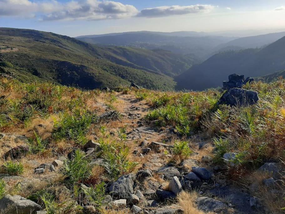 Casa Do Sol - Natureza & Lazer - Serra Da Freita 阿鲁卡 外观 照片