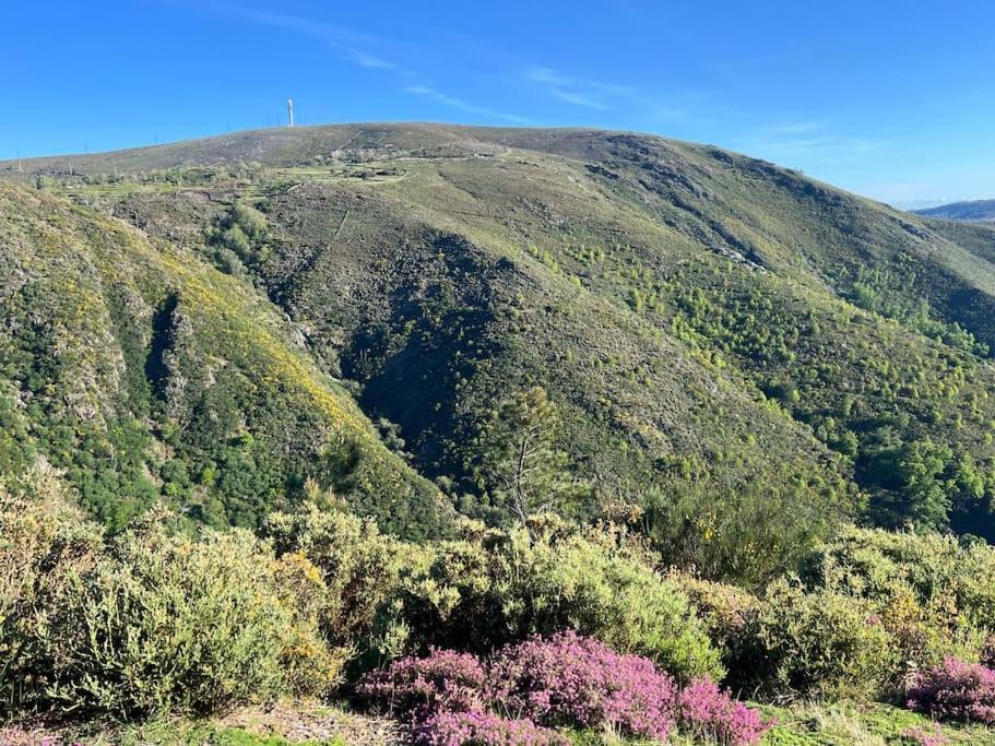 Casa Do Sol - Natureza & Lazer - Serra Da Freita 阿鲁卡 外观 照片